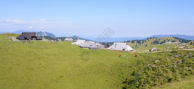 高原 斯洛文尼亚 阿尔卑斯山村 传统风格的木制房屋 大众登山目的地牧场天空村庄太阳小屋旅行房子草地假期农村图片