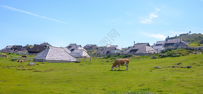 高原 斯洛文尼亚 阿尔卑斯山村 传统风格的木制房屋 大众登山目的地小屋房子国家假期旅游牧场小路村庄建筑旅行图片