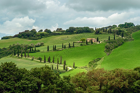 Val dOrcia 托斯卡纳农场滚动农家栽培农田植被建筑假期叶子树木旅行图片