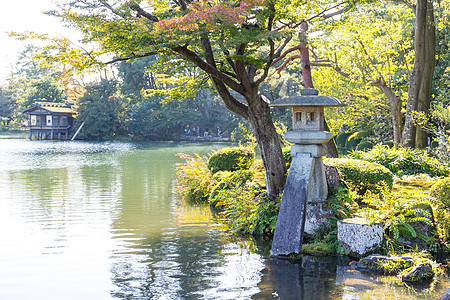 金泽市的日本花园图片