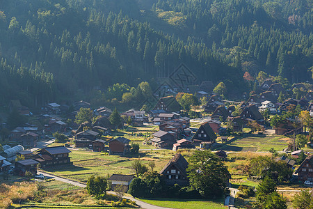 日本白川越村旅行木头地标稻草茅草丛林历史性合掌建筑学世界图片