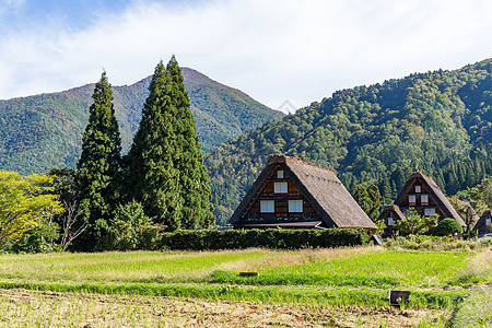 传统日日日白川越村建筑丛林木头旅行遗产茅草文化村庄建筑学历史性图片