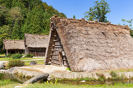 Shirakawago山村图片