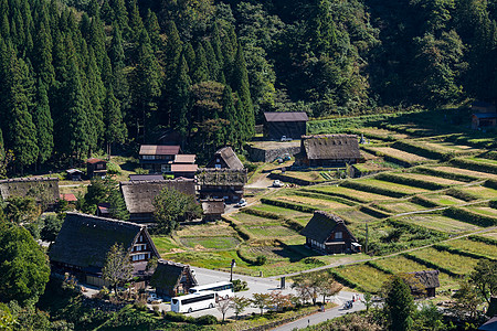传统的日本古老村庄场地地标历史建筑学种植园森林天线遗产农村建筑图片