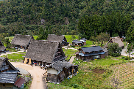 日本白川戈村合掌旅行丛林森林文化世界村庄稻草白川历史性图片
