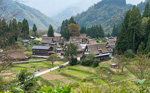 Shirakawago传统老村房子木头世界旅行旅游建筑游客吸引力森林村庄图片