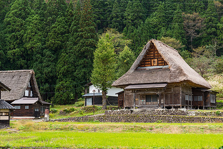 白川戈的木屋图片