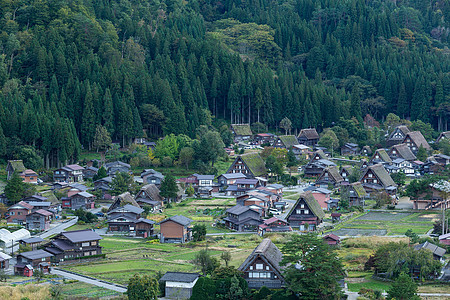 晚上在日本白川地图片