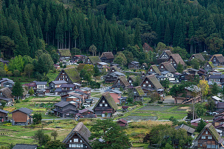 Shirakawago村风景建筑学木头地标房子森林农村场地文化世界图片