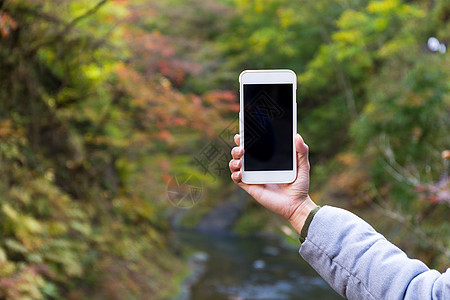 秋季森林中女性手机使用者图片