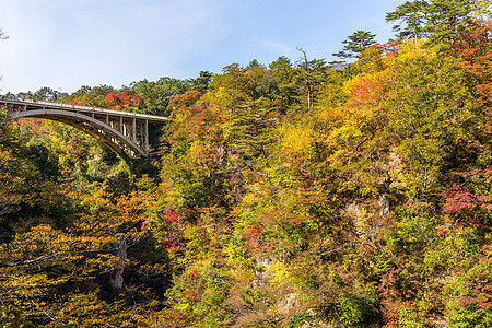 秋季的纳鲁科峡谷公园季节旅游植物叶子蓝色环境天空风景橙子图片