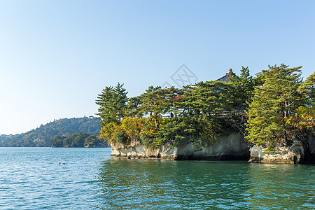 日本松岛阳光松树天空植物旅行海洋风景游客公园森林图片