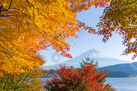 湖边的fuji山图片