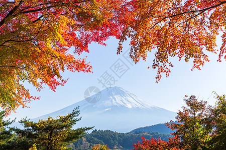 秋天在川口湖的福吉山图片