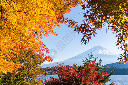 藤山和青树天空晴天游客远足蓝色旅行季节森林地标公吨图片