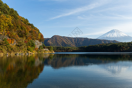 日本的藤山和湖植物风景公园旅行蓝色斋子晴天地标丛林顶峰图片