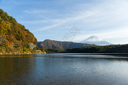 日本的藤山和湖蓝色植物火山风景森林丛林顶峰旅行地标天空图片