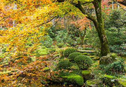 日本菜园 有冬假季节图片