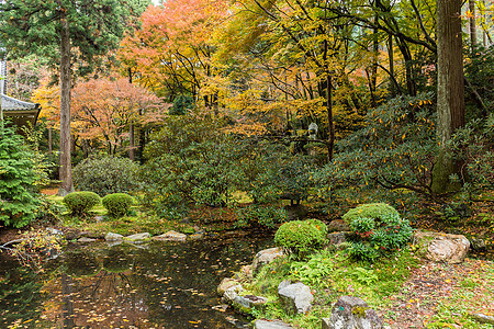 秋天的日本寺庙花园池塘花园石头橙子树叶苔藓地衣公园绿色植物灯笼图片