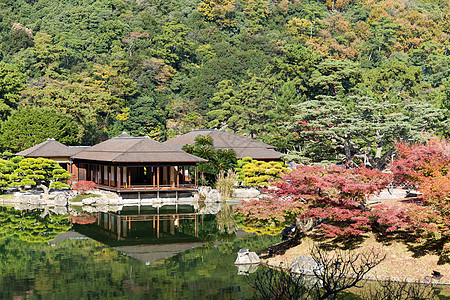 秋天的日本里草林花园公园文化四国环境天桥木头天空池塘晴天蓝色图片