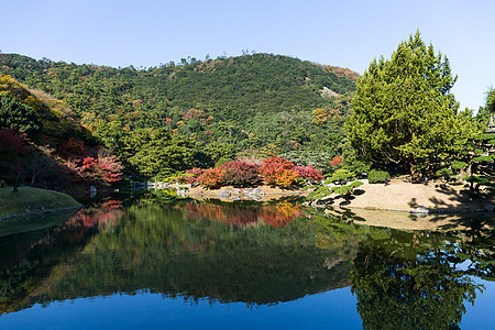 秋天日本传统里瓜林花园图片