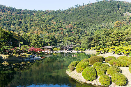 美美的日本花园公园农村森林建筑学树木历史城市植物群板栗池塘图片