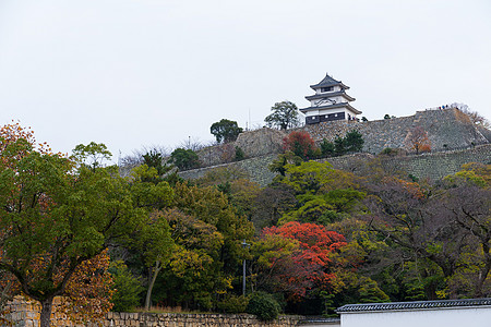 秋天日本马鲁伽美城堡旅行地标观光天空历史性旅游建筑学喷泉蓝色晴天图片