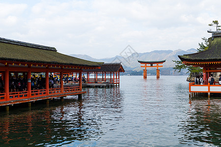 日本国岛神社海洋旅游神社神道寺庙旅行岛屿场景地标宗教图片