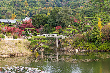 秋天的日本花园寺庙岩石建筑学公园艺术佛教徒石头池塘花园宝塔图片