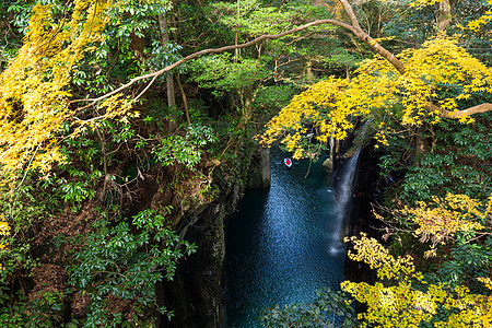 日本高原峡谷悬崖森林瀑布地标吸引力旅行黄色季节公园植物图片
