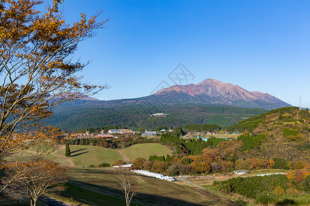 日本的知岛山爬坡国家农场森林地标自然植物晴天干草小路图片