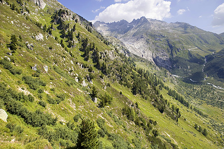 瑞士阿尔卑斯山地标山脉目的地风景乡村草地松树山峰旅游娱乐图片