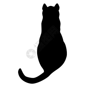 猫集合剪影插图猫咪猫科动物绘画卡通片跳跃小猫朋友哺乳动物草图图片