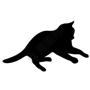 猫集合剪影团体插图夹子黑色尾巴哺乳动物阴影猫科动物朋友艺术图片