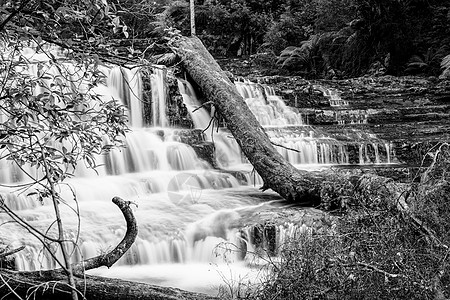 塔斯马尼亚中部地区利菲瀑布环境溪流苔藓公园旅游薄雾蕨类瀑布流动岩石图片