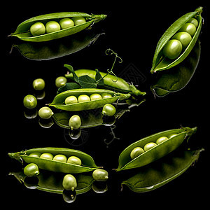 绿豆树叶种子黑色绿色反射食物蔬菜图片
