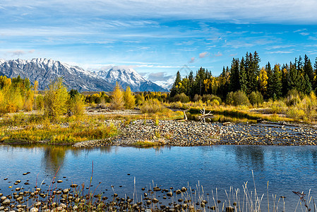 Grand Teton国家公园的秋季彩色国家悬崖风景山脉蓝色树木反射山峰首脑崎岖图片