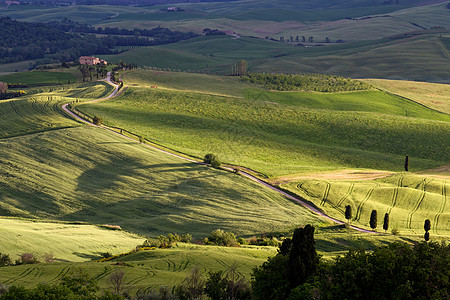 Val dOrcia 托斯卡纳的角斗场格式旅行爬坡叶子场地农场建筑物植物农田风景图片