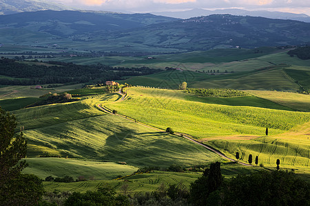 Val dOrcia 托斯卡纳的角斗场场景风景农村假期建筑物场地农田旅行植被角斗士图片