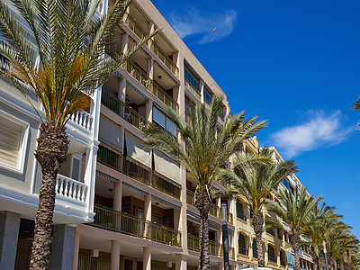 西班牙巴伦西亚Torrevieja岛地中海流行海滩晴天风景假期阳光海洋城市海岸蓝色棕榈支撑图片