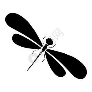 蜻蜓剪影 用黑白翅膀隔离的豆娘的卡通图形插图 素描昆虫蜻蜓打印创造力航班雕刻野生动物卡片涂鸦动物群荒野卡通片图片