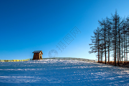 冬季木屋 南韩江原道的大威敬牧草地草地国家农田旅行农场蓝色降雪农业太阳天气图片