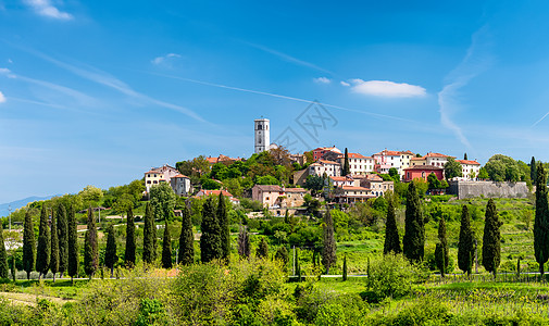 Opratalj  在Istria中部山丘上的 边际小镇房子历史城市爬坡村庄葡萄园建筑学街道阳光房屋图片