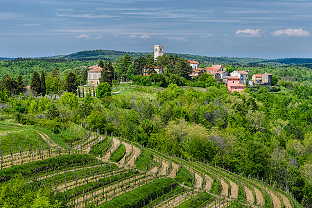 Opratalj  在Istria中部山丘上的 边际小镇建筑葡萄园天空遗产村庄入口鹅卵石街道房屋爬坡图片