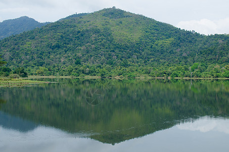 美丽的模多风景湖泊环境季节公园概况蓝色景观木头天空森林图片