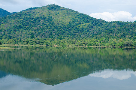 美丽的模多风景树木概况绿色环境荒野旅行景观公园季节阳光图片