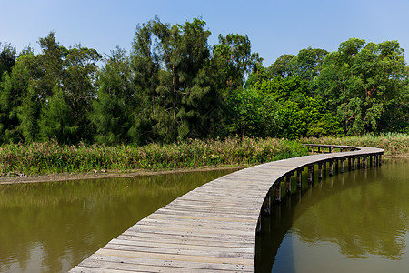 公园的木环桥旅行季节金子木头途径踪迹远足风景曲线人行道图片