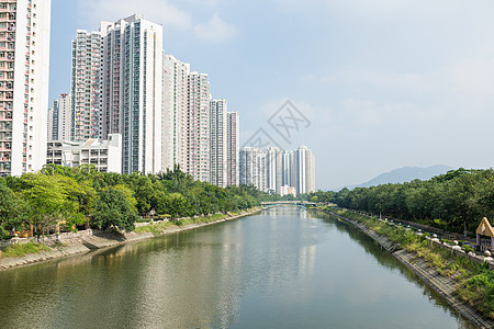 香港的公寓楼大楼建筑人口密度公寓楼植物居民民众摩天大楼住房池塘图片