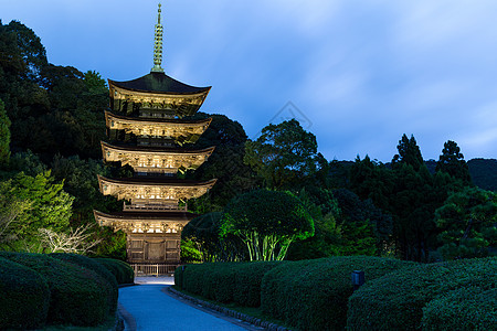 鲁里科吉寺寺寺塔历史性花园公园寺庙历史佛教徒池塘建筑旅行传统图片