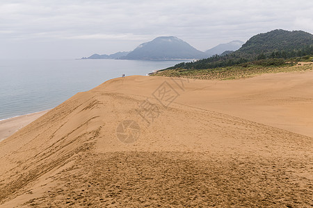 日语 Totori 沙丘背景图片